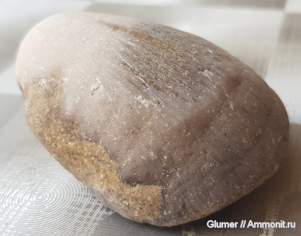 Без названия