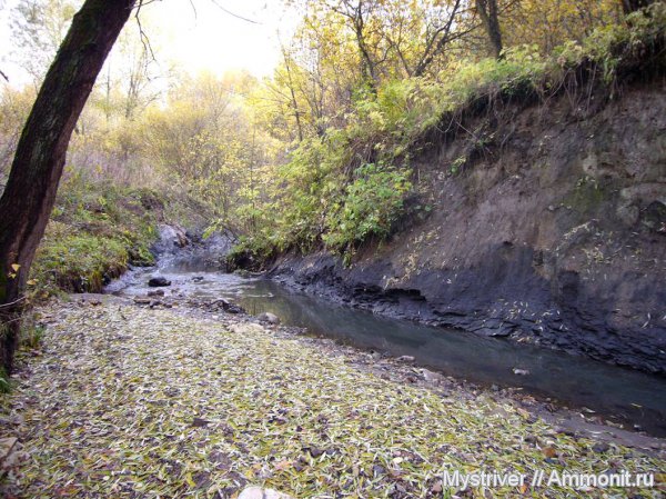 юра, р. Шмелевка, Jurassic