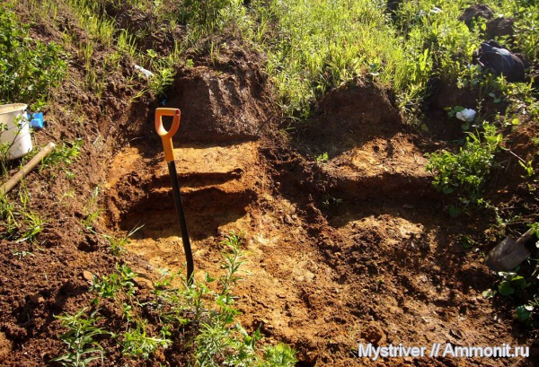 мел, сеноман, Никольское, Cenomanian, Cretaceous