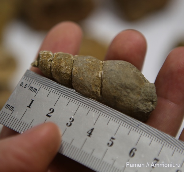 Это интересно