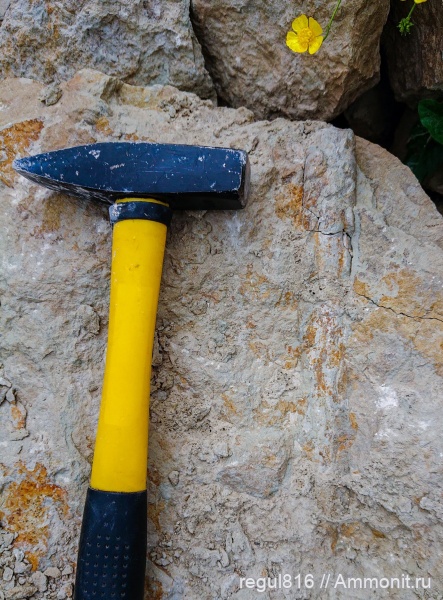 Вильповицы