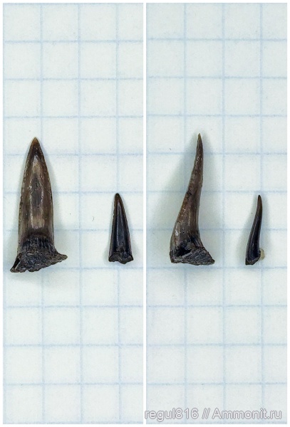 Давние сборы