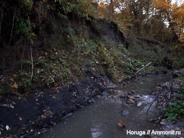 юрский период, р. Шмелевка