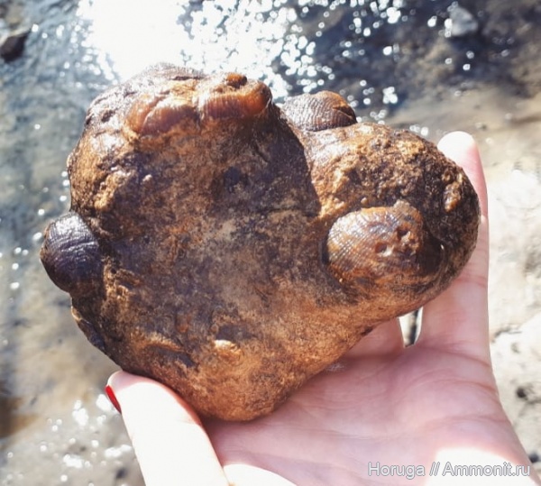 Битцевский парк