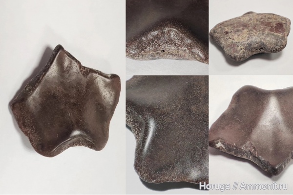 Ильменский глинт