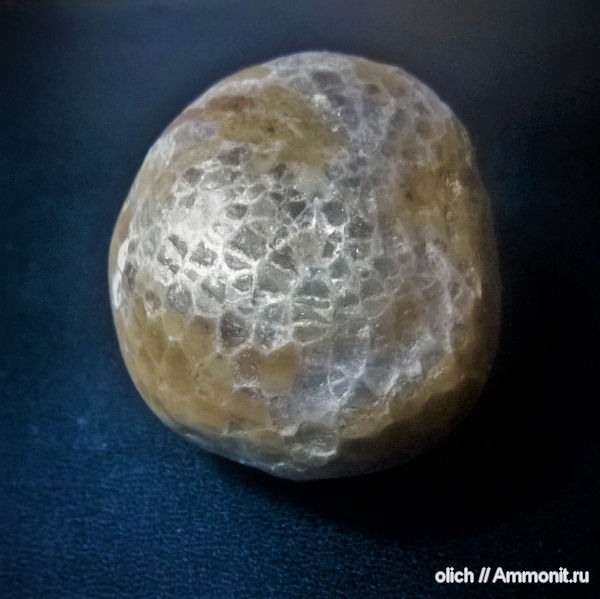 берег р. Великая г. Псков