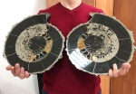 Срез Аммонита Speetoniceras Versicolor Срез Аммонита Speetoniceras Versicolor