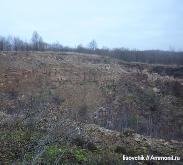 карьер Кураково