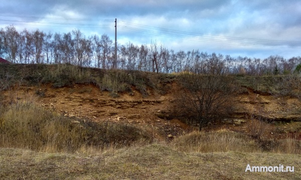 карбон, Гжель, гжельский ярус