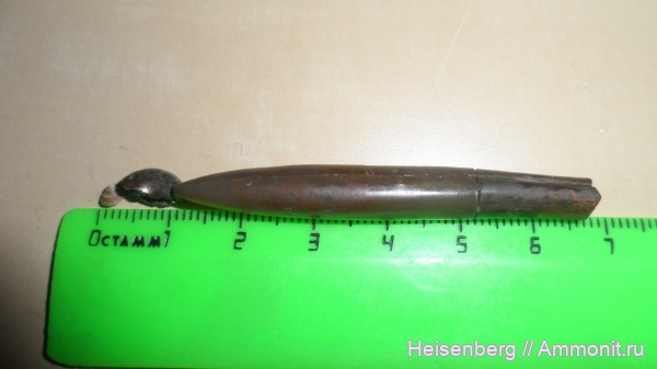 аммониты, белемниты, моллюски, головоногие моллюски, брюхоногие моллюски, беспозвоночные, belemnites