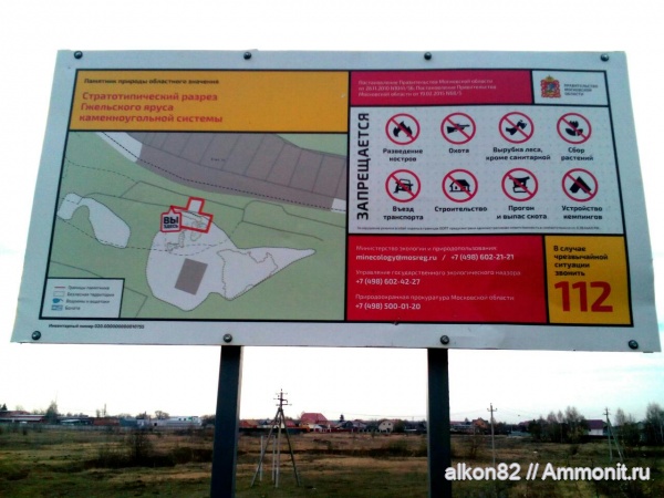 карбон, Гжель, 55км