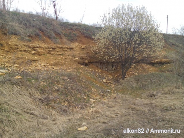 карбон, Гжель, 55км