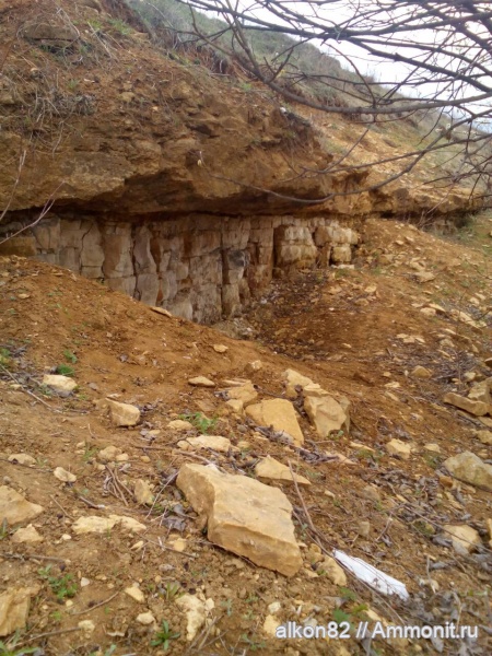 карбон, Гжель, 55км