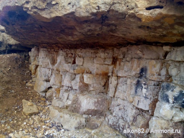 карбон, Гжель, 55км