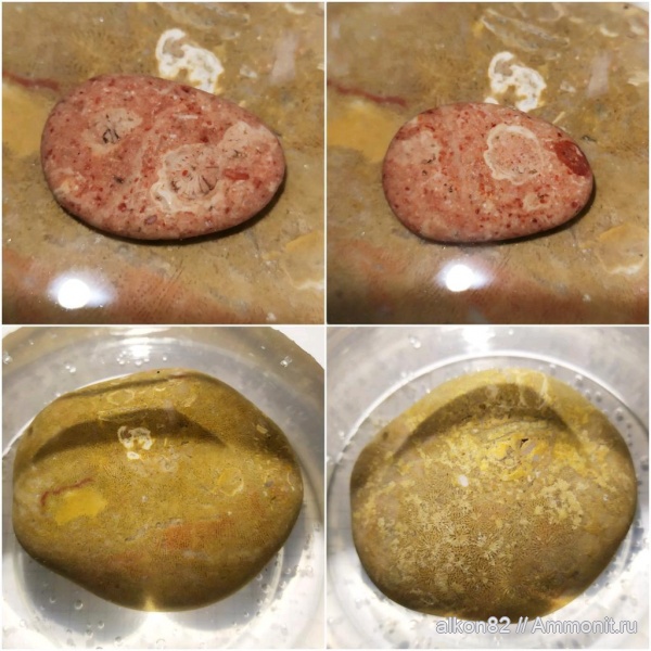 кораллы, Турция, Turkey