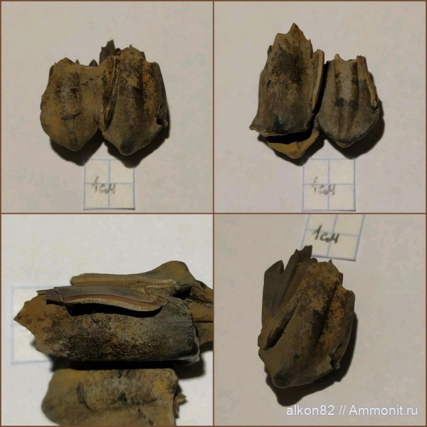 плейстоцен, Мячково