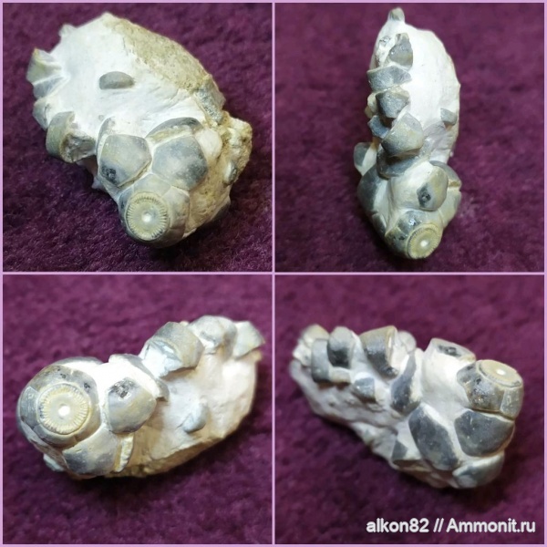 Акатьевский карьер