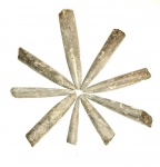 Слепки белемнитов