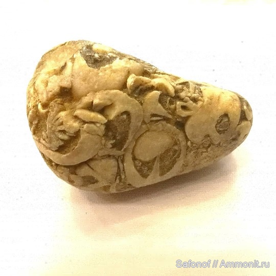 Помогите определить что это