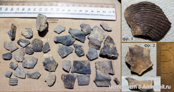 берриас, аптихи