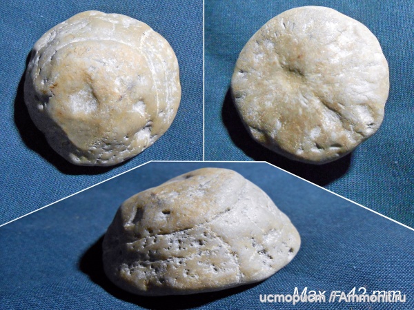 мел, губки, Крым