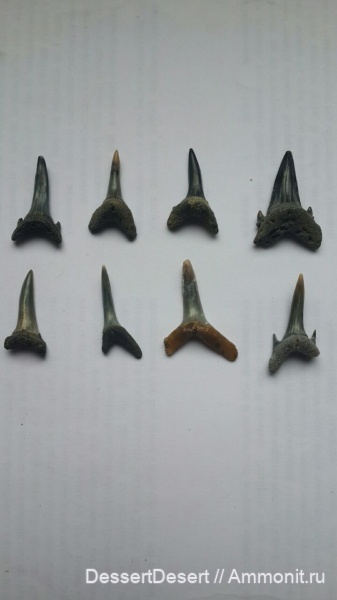 Киев, намывные пески