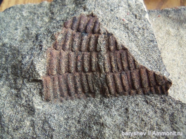 Находки в поселке Арти Свердловской области