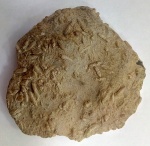 Экспонат Артинского исторического музея