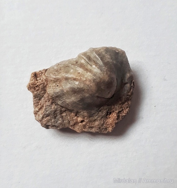 Мои находки