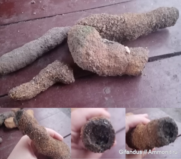 Липецкая область, Елец