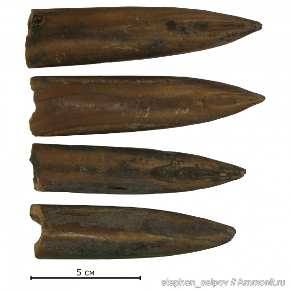 Отвалы московского метро