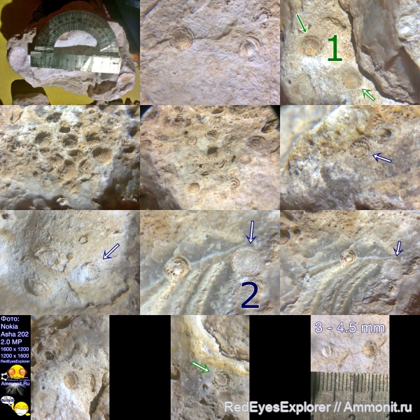 Время разбирать камни...