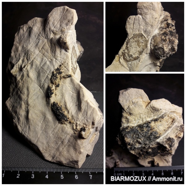 кораллы, Пермский край, пещера