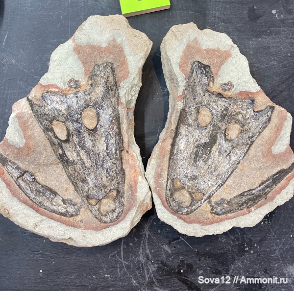 Кировская область