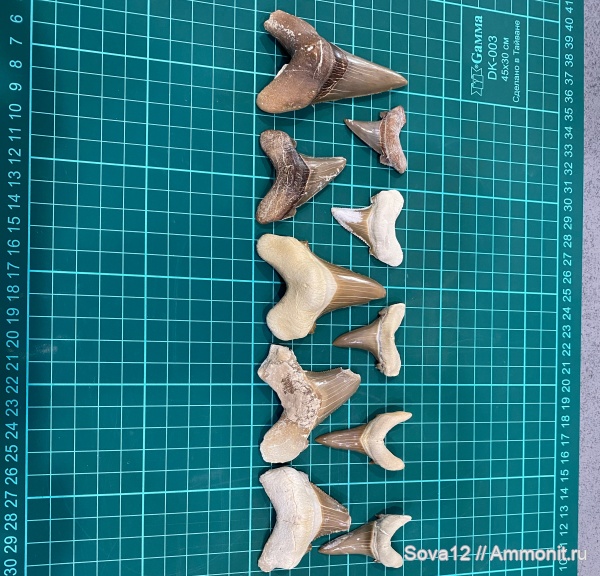 Казахстан. Мангистау.