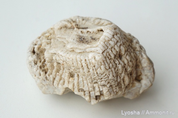 мои находки