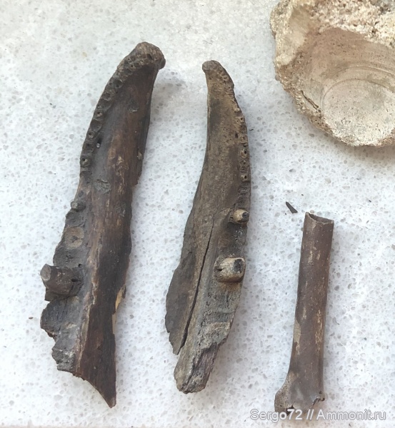 Киев, намывные пески