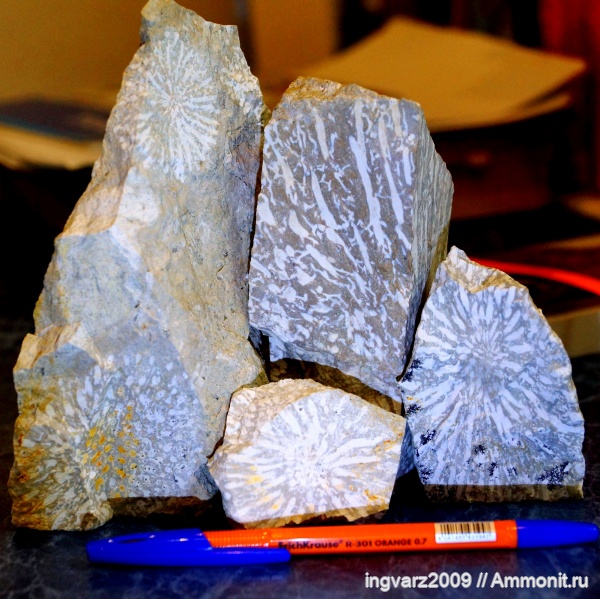 Щебеночный карьер.