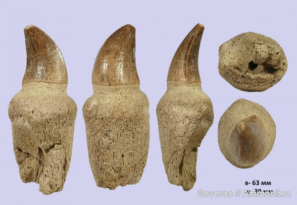 Волгоградская область