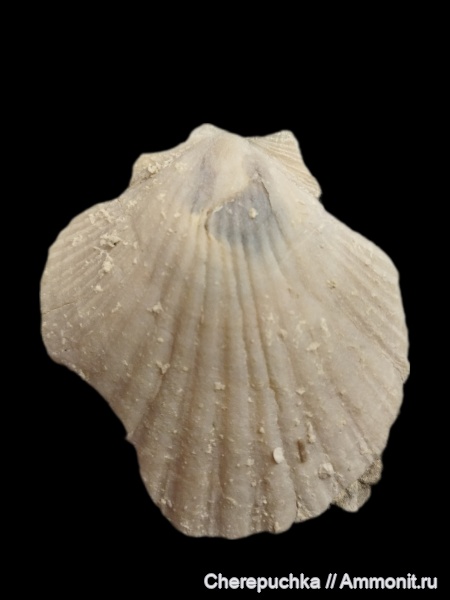 Юра центральной Италии (Абруццо)