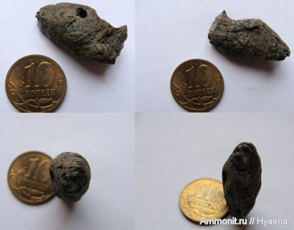 эоцен, копролиты, ?, Зауралье