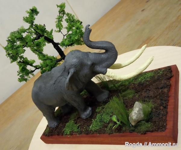 Экспозиции школьного музея "Карбония"