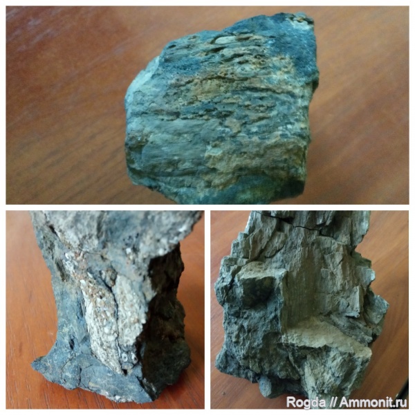 Холодное мелкое море