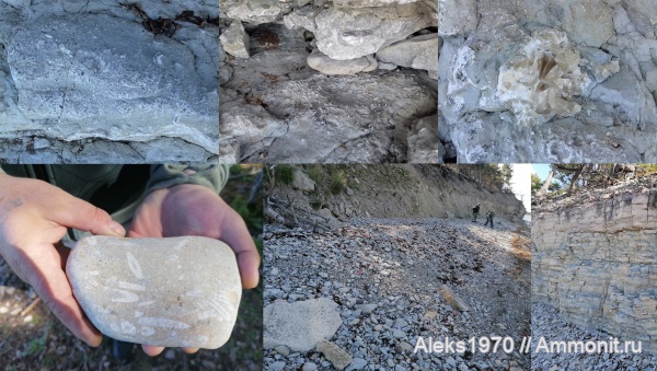 силур, Эстония, Балтийское море, Сааремаа, Клиф Панга