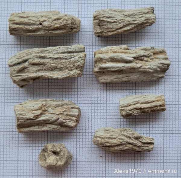 девон, Латвия, Гауя