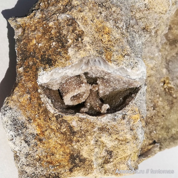 Spiriferida, ручной аппарат, казанский ярус