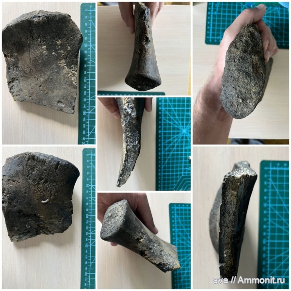 юра, Пески, кости