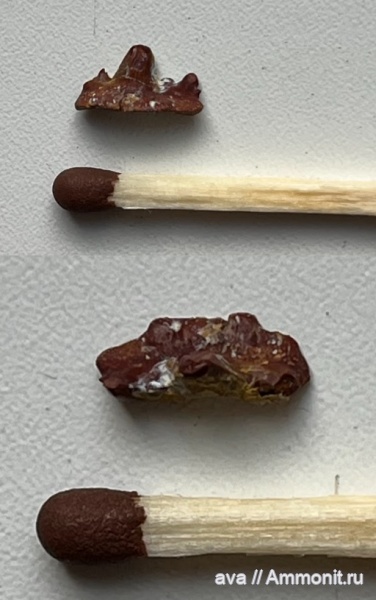 карбон, Заборье