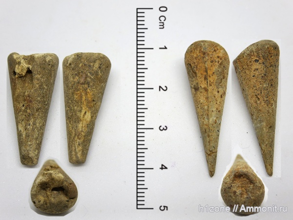 фрагмоконы