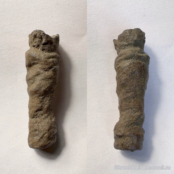 девон, рыбы, копролиты, Devonian, Sarcopterygii